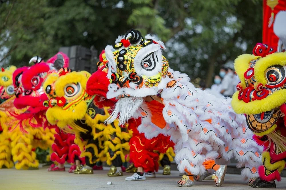 Lion dance in Vietnam