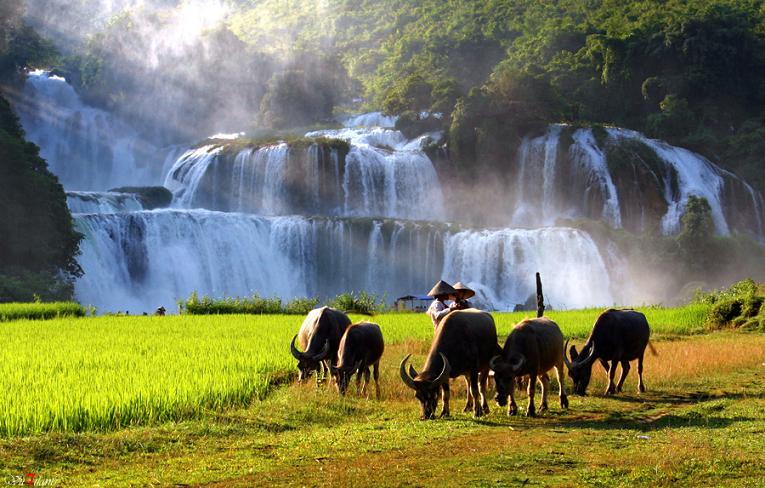 At the foot of Ban Gioc waterfall