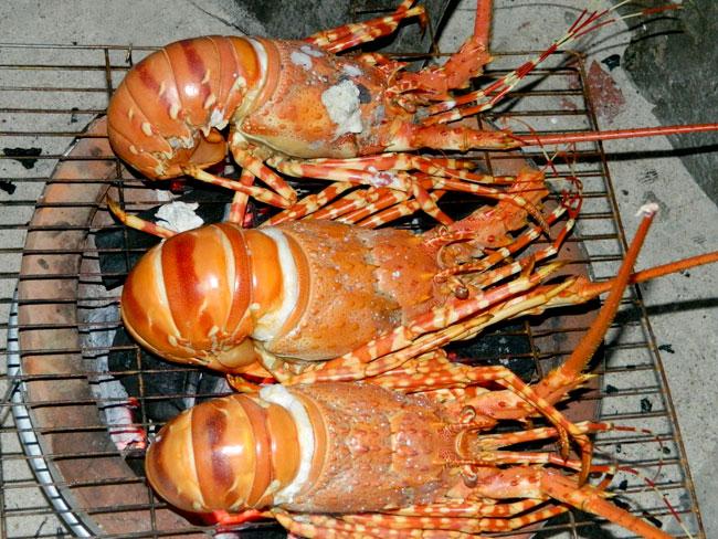 Lobster – The most famous specialty of Binh Ba island